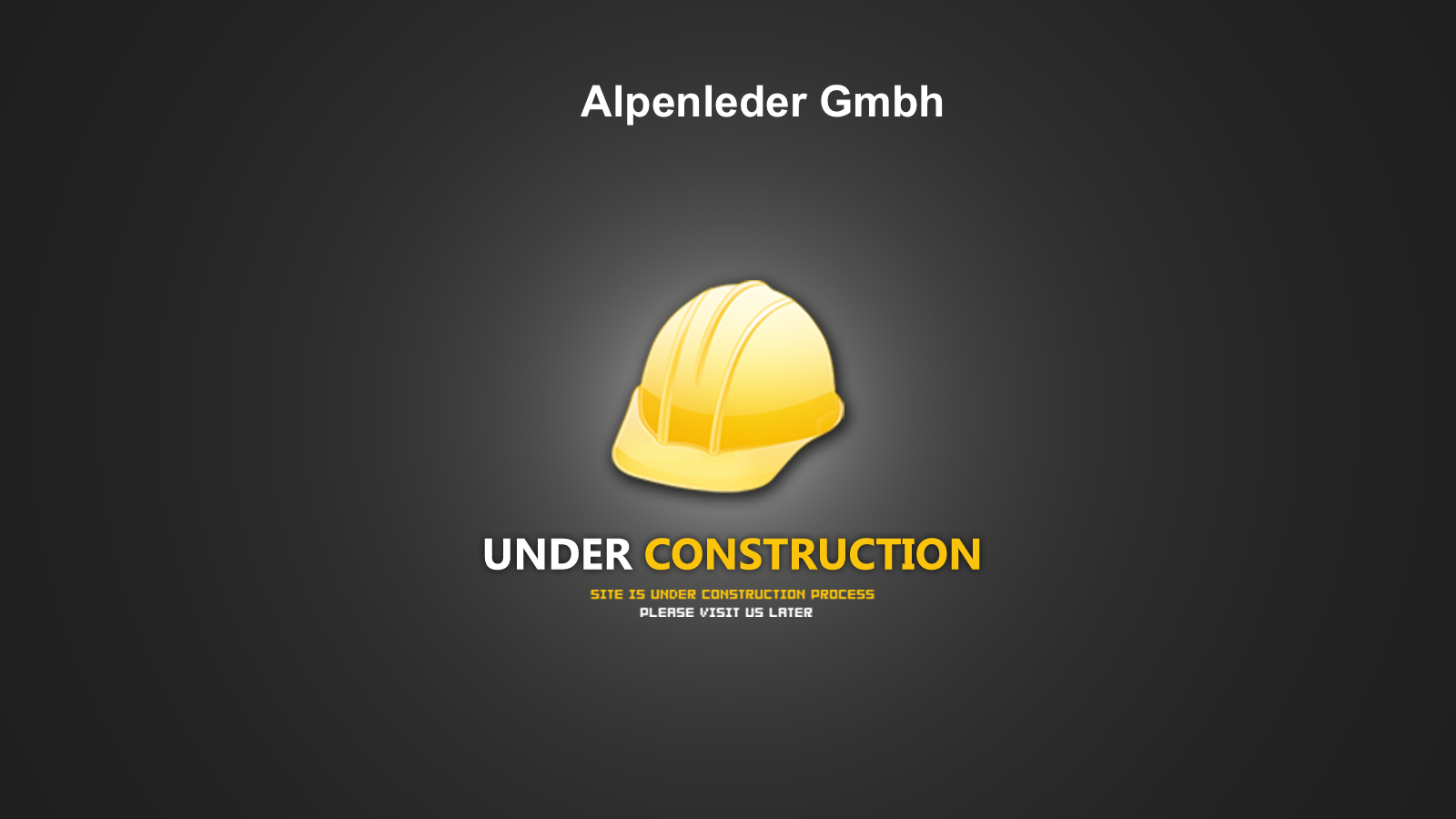 Alpenleder Gmbh -- site underconstruction
